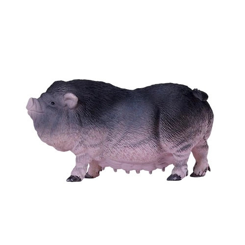 Mojo Prase břichaté