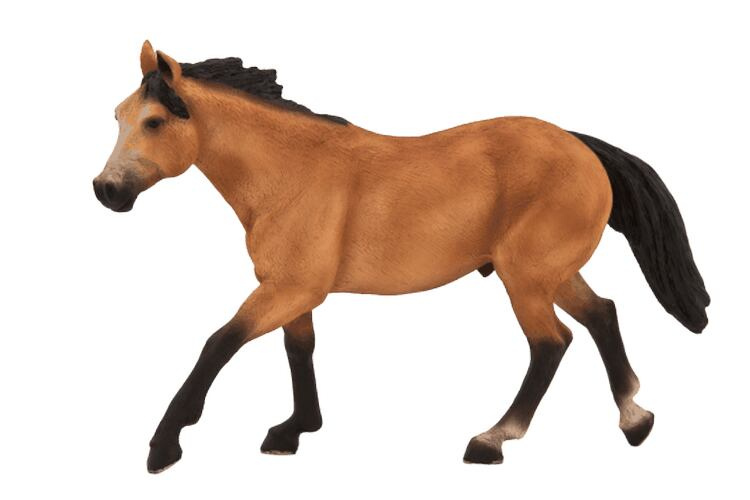 Mojo Kůň plavák