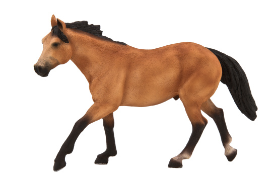 Mojo Kůň plavák