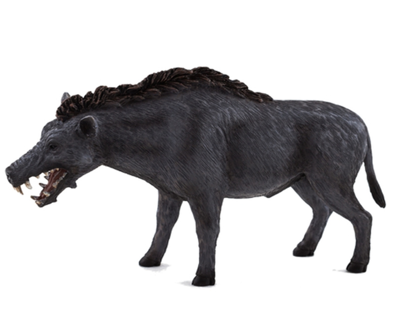 Mojo Entelodont Daeodon