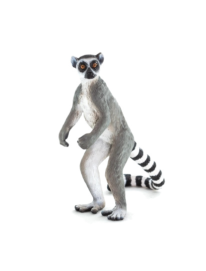Mojo Lemur kata