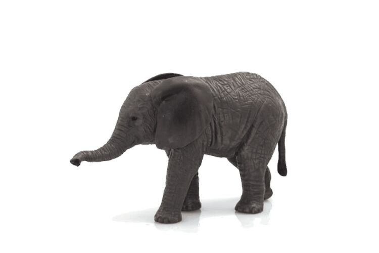 Mojo Slon africký slůně