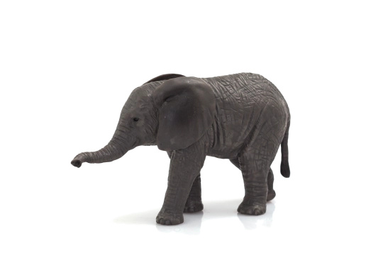 Mojo Slon africký slůně