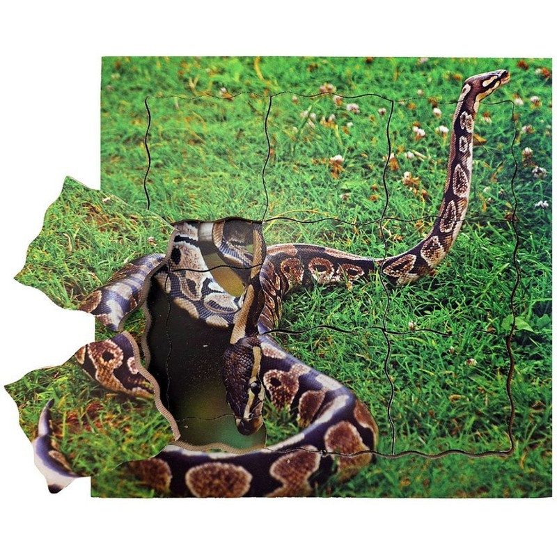 Just Jigsaws 644 Had a jeho životní cyklus - dřevěné vrstvené puzzle 19 dílů