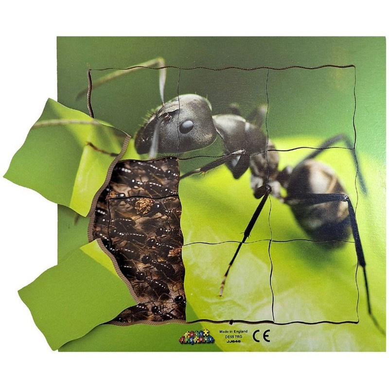 Just Jigsaws 646 Mravenec a jeho životní cyklus - dřevěné vrstvené puzzle 19 dílů