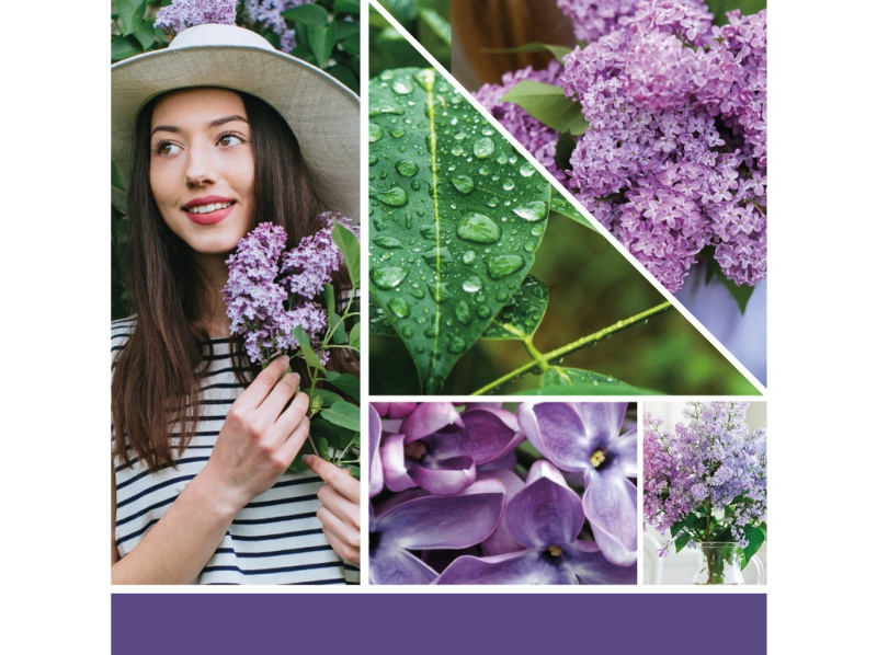 Yankee Candle Lilac Blossoms vonná svíčka I. Signature 368 g