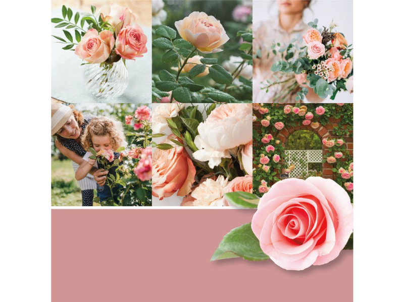 Yankee Candle Fresh Cut Roses vonná svíčka 368 g