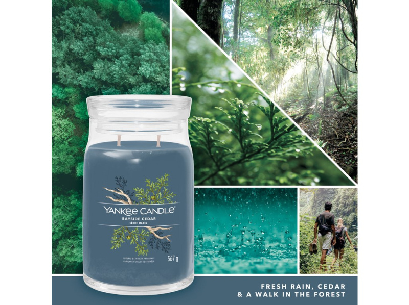 Yankee Candle Bayside Cedar vonná svíčka Signature 567 g