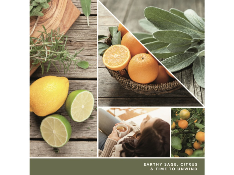 Yankee Candle Sage & Citrus vonná svíčka Signature 567 g