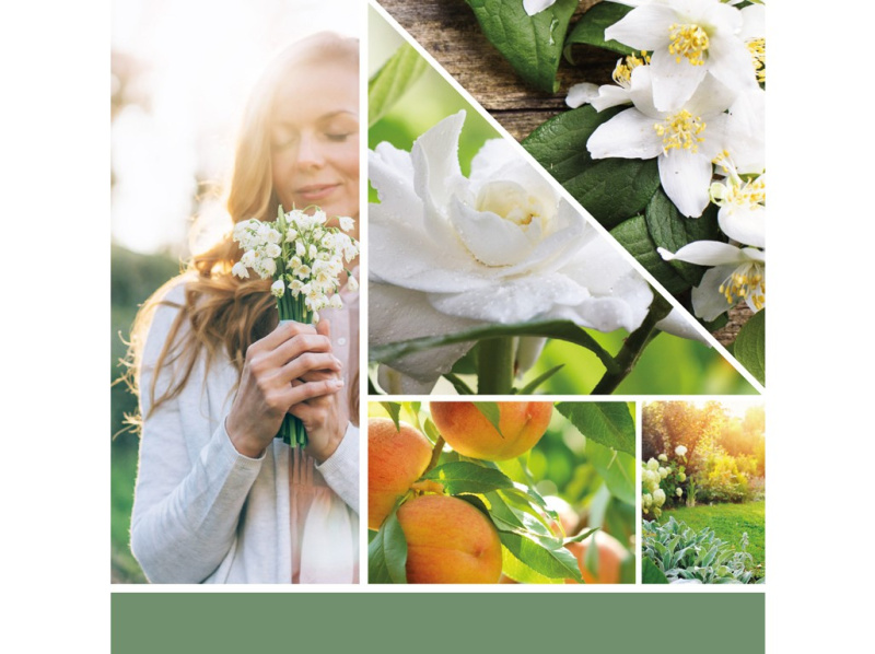 Yankee Candle White Gardenia vonná svíčka Signature 567 g