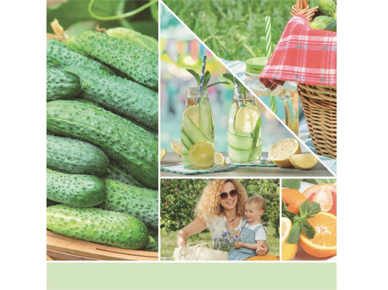 Yankee Candle Cucumber Mint Cooler vonná svíčka Signature 567 g
