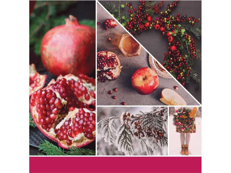 YANKEE CANDLE Signature Vonná svíčka střední 2 knoty Sparkling Winterberry 368 g