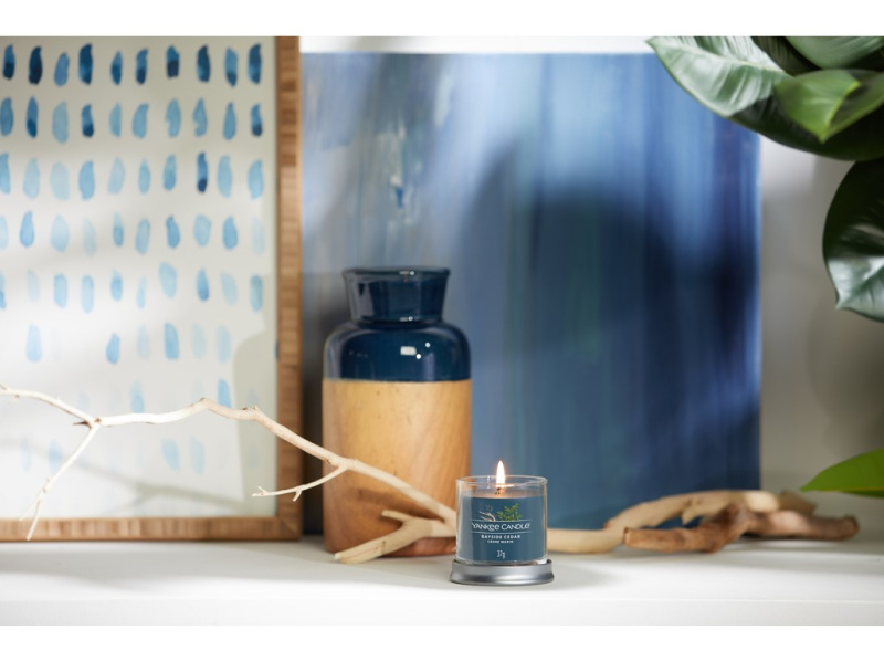 Yankee Candle Bayside Cedar vonná svíčka I. 122 g