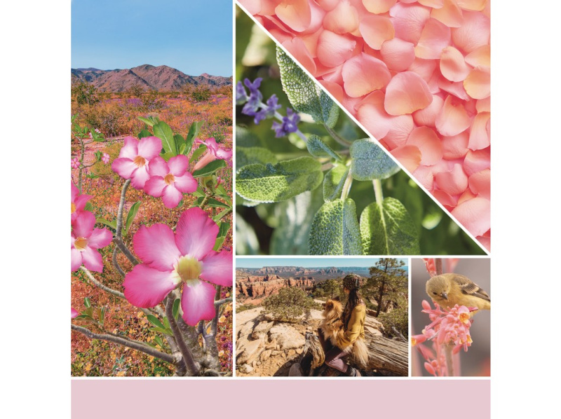 Yankee Candle Desert Blooms vosk do aromalampy 22 g