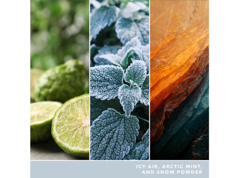 Yankee Candle North Pole Hideaway vosk do aromalampy 22 g