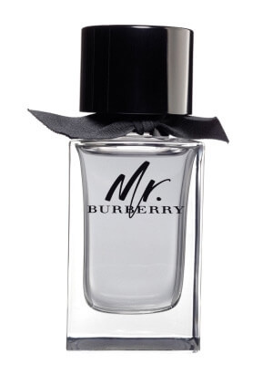 Burberry Mr. Burberry - EDT 100 ml