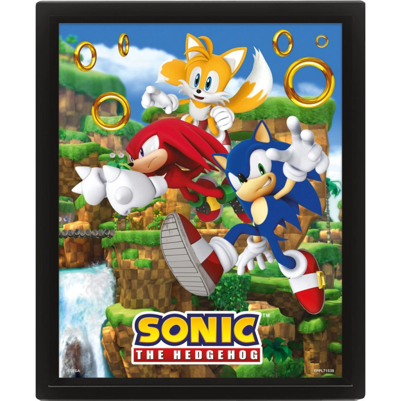 Sonic 3D obraz - Catching Rings