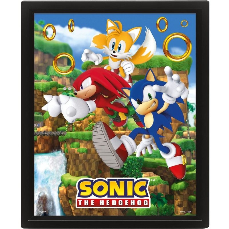 Sonic 3D obraz - Catching Rings