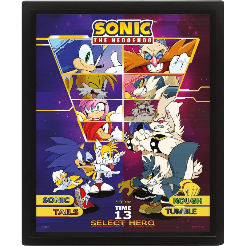 Sonic 3D obraz - Select your Fighter