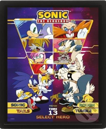 Sonic 3D obraz - Select your Fighter