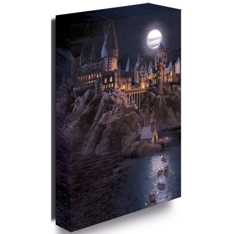 Harry Potter obraz LED svítící 30x40 cm - Bradavice hrad