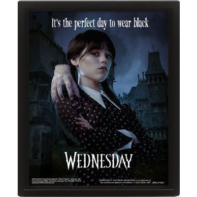 Wednesday 3D obraz