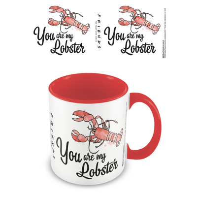 EPEE merch Hrnek Přátelé You are my lobster keramický a karneval 315 ml