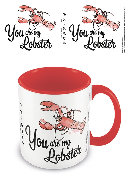 EPEE merch Hrnek Přátelé You are my lobster keramický a karneval 315 ml