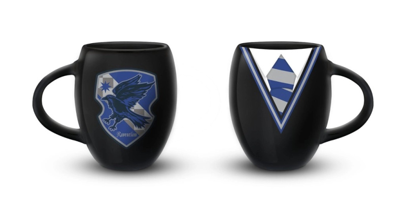 EPEE Merch Harry Potter Hrnek oválný Havraspár Pyramid 425 ml