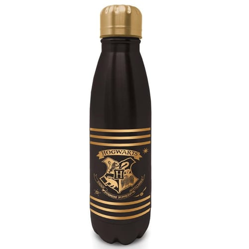 Láhev nerezová Harry Potter Mini 540 ml