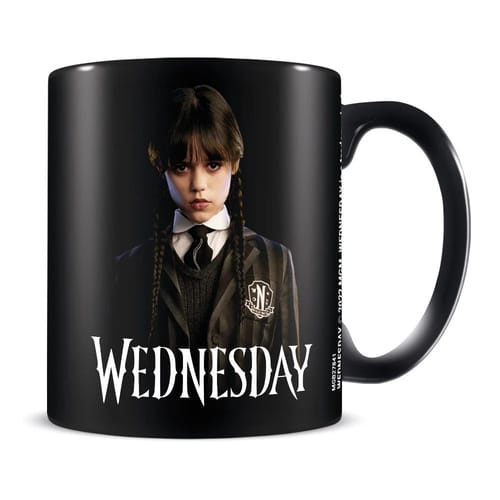Hrnek Wednesday Friendship 315 ml