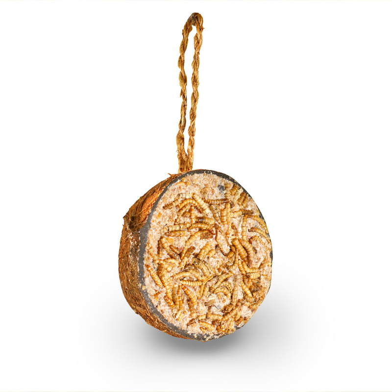 Ptačí krmítko - kokos s moučnými červy 200 g
