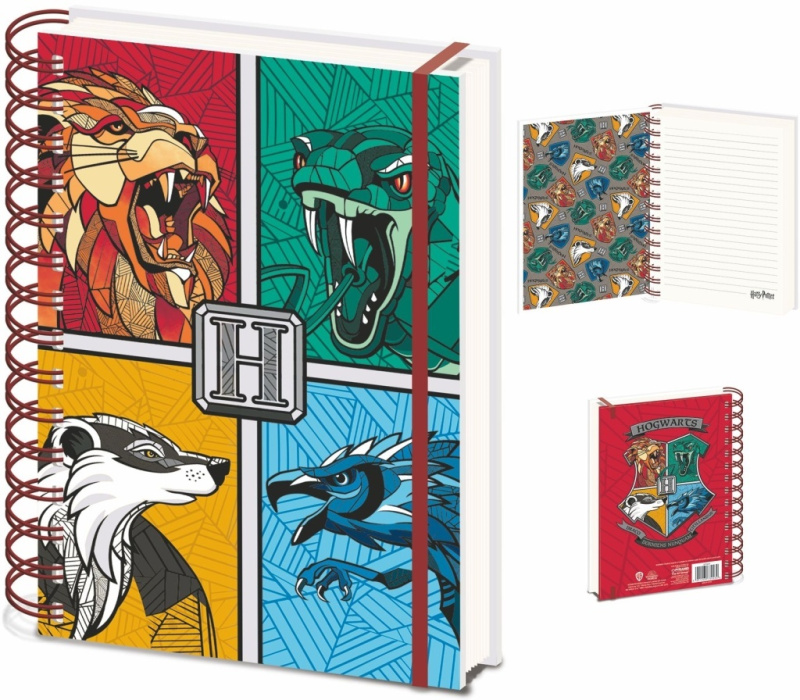 Epee Merch Blok A5 kroužkový Harry Pooter (Stand Together) a karneval