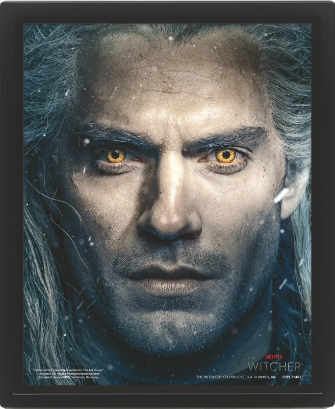 Zaklínač : The Witcher 2 - 3D Obraz s rámem 3D Obraz (s rámem)