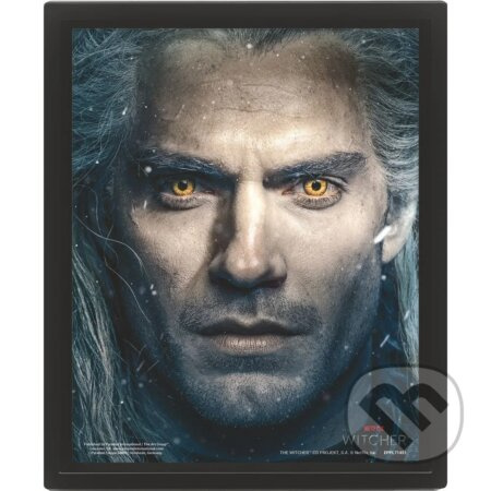 Zaklínač : The Witcher 2 - 3D Obraz s rámem 3D Obraz (s rámem)