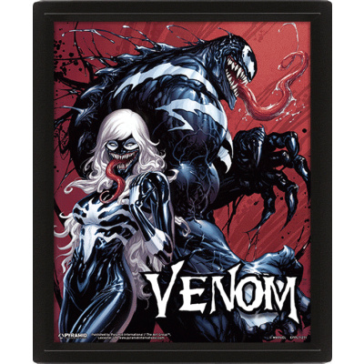 Venom : 3D obraz Venom 3D Obraz (s rámem)