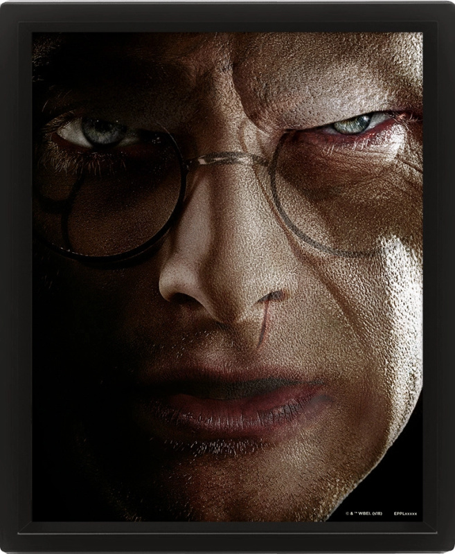 Harry Potter : Harry vs. Voldemort - 3D Obraz s rámem 3D Obraz (s rámem)