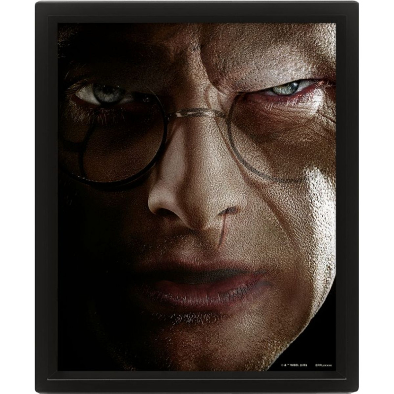 Harry Potter : Harry vs. Voldemort - 3D Obraz s rámem 3D Obraz (s rámem)