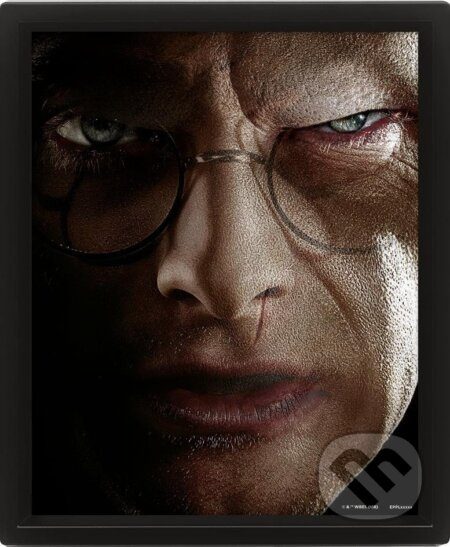 Harry Potter : Harry vs. Voldemort - 3D Obraz s rámem 3D Obraz (s rámem)