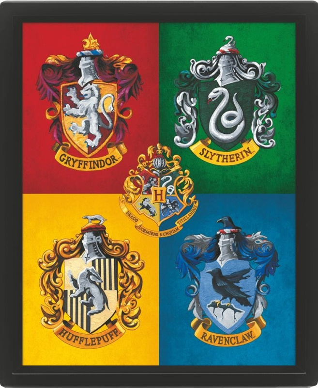 Harry Potter : Erby barevné - 3D Obraz s rámem 3D Obraz (s rámem)