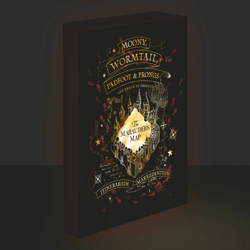 Obraz LED svítící 30x40, Harry potter - Pobertův plánek