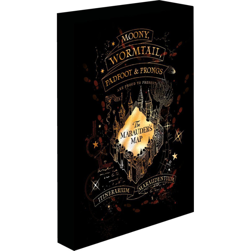 Obraz LED svítící 30x40, Harry potter - Pobertův plánek