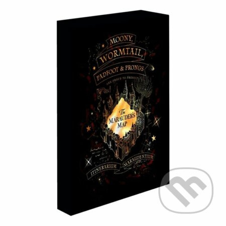 Obraz LED svítící 30x40, Harry potter - Pobertův plánek