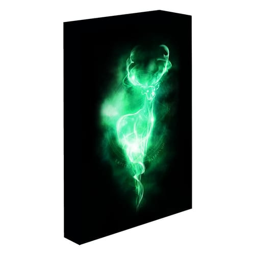 Obraz LED svítící 30x40, Harry potter - Patron