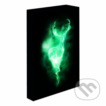 Obraz LED svítící 30x40, Harry potter - Patron