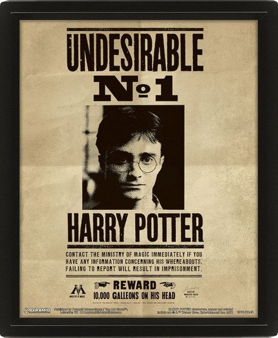 Harry Potter: Obraz 3D - Sirius Black