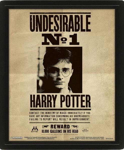 Harry Potter: Obraz 3D - Sirius Black