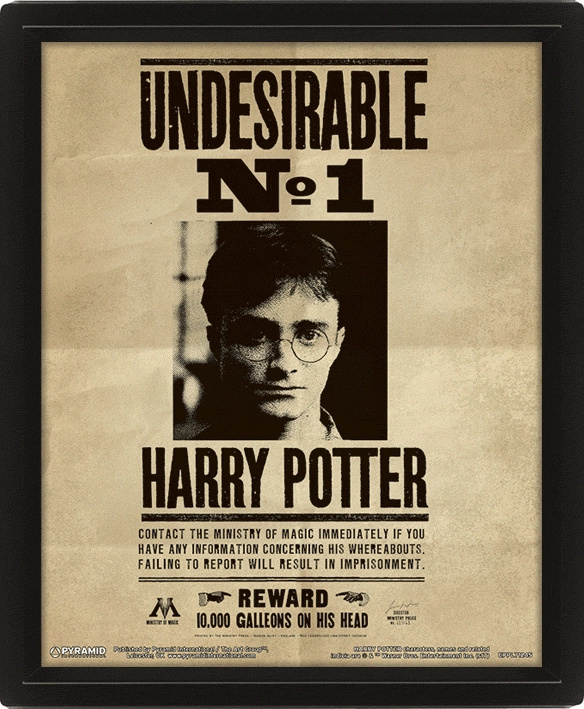 Harry Potter: Obraz 3D - Sirius Black