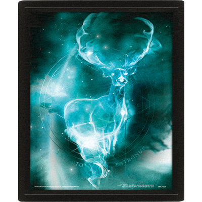 Obraz 3D Harry Potter - Patron