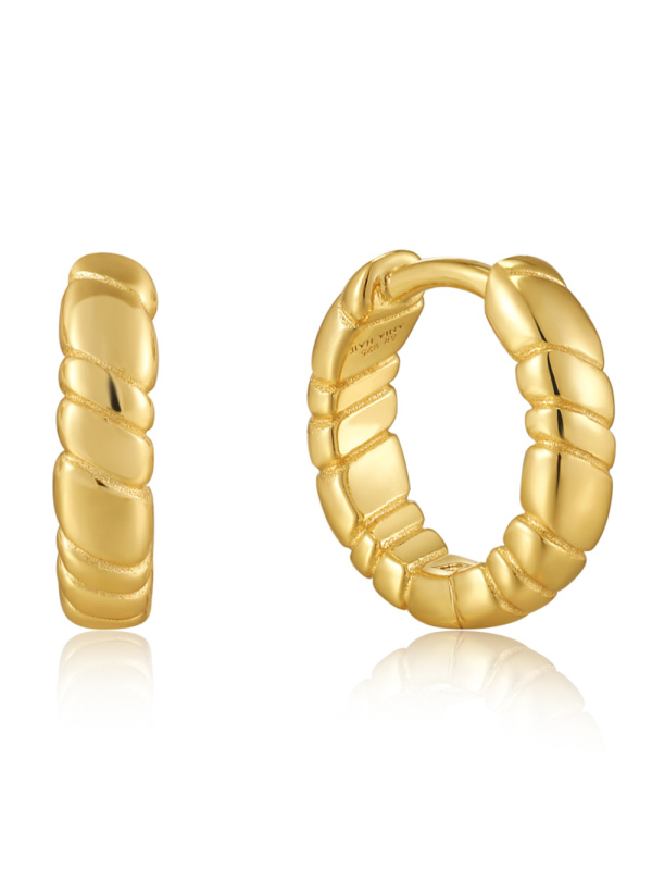 Ania Haie E038-02G Creoles - Smooth Twist